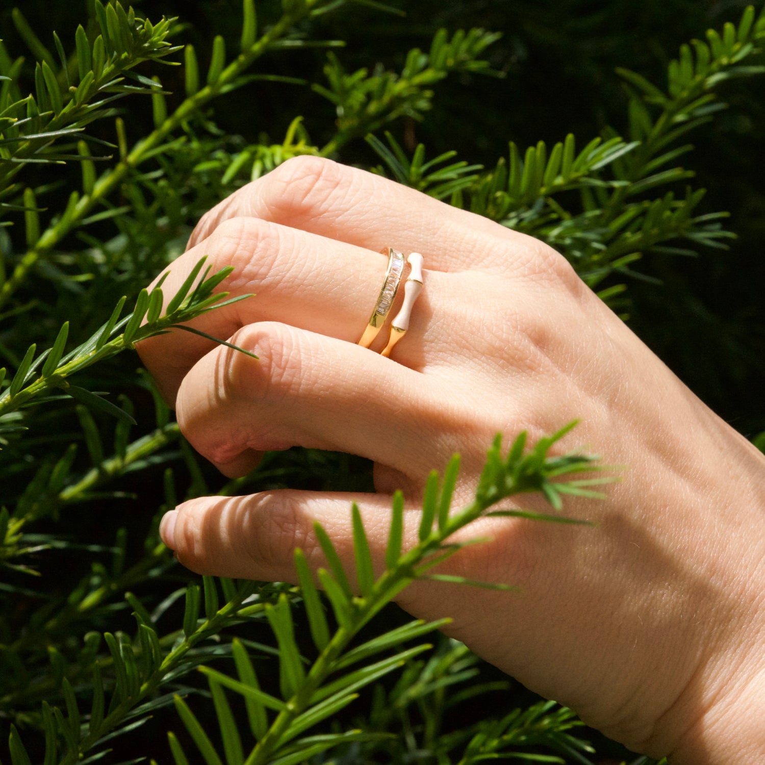 Bamboo Gray Double BandRing