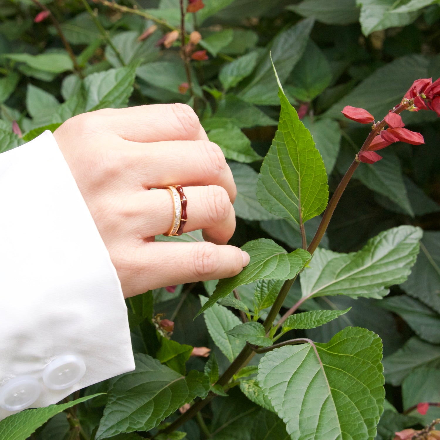 Bamboo Red Double BandRing