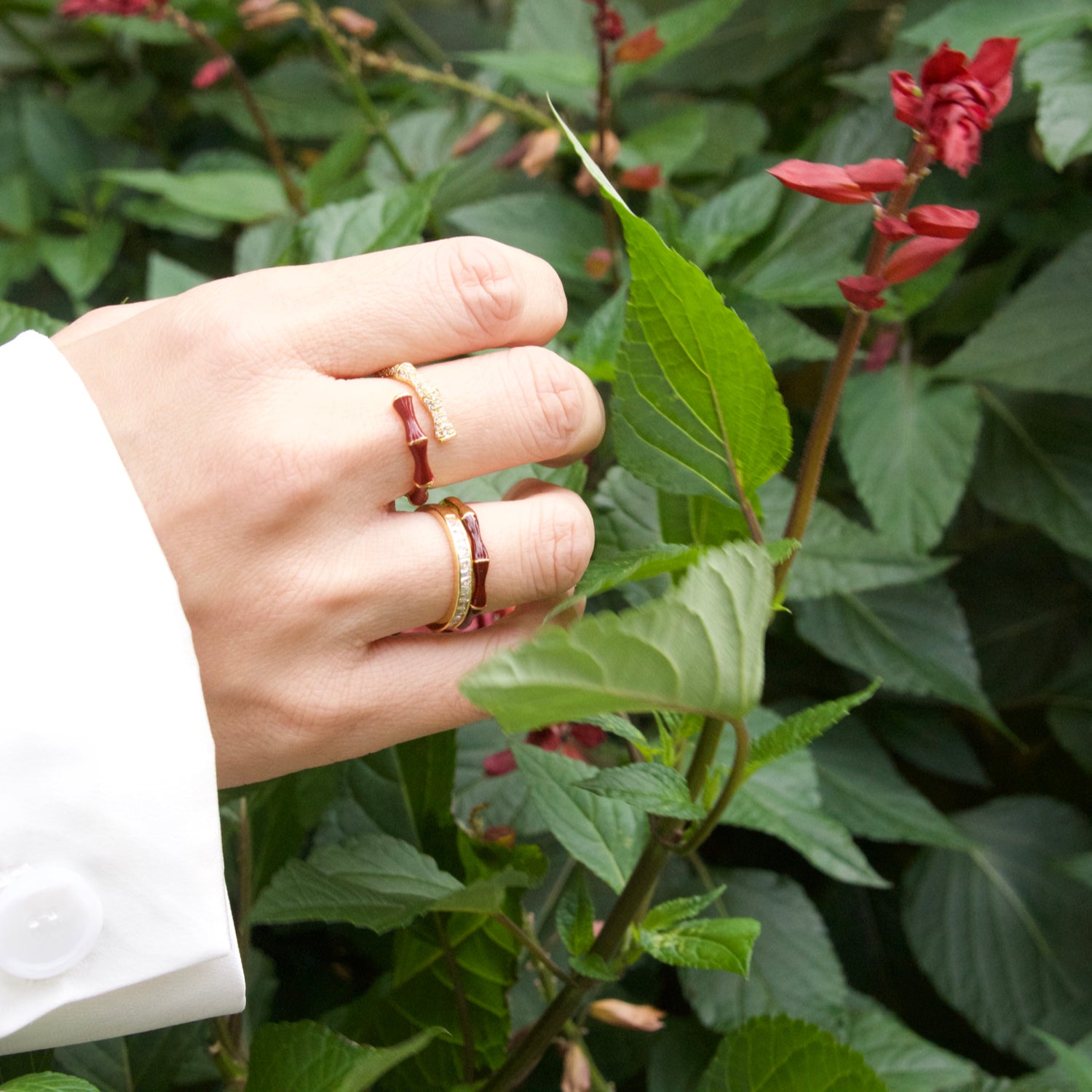 Bamboo Red Double BandRing