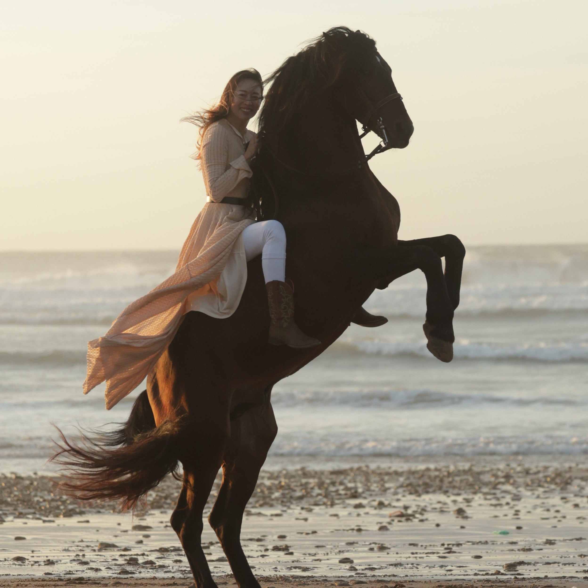 “Wear the Spirit of the Horse” — A Curated Guide to WJY Studio’s Equestrian Jewellery Collection