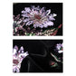 Embroidered Stylish Stitching Black Floral Vest